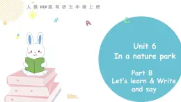 小学英语人教PEP版五年级上册 Unit 6  In a nature park Part B Let’s learn & Write（课件）