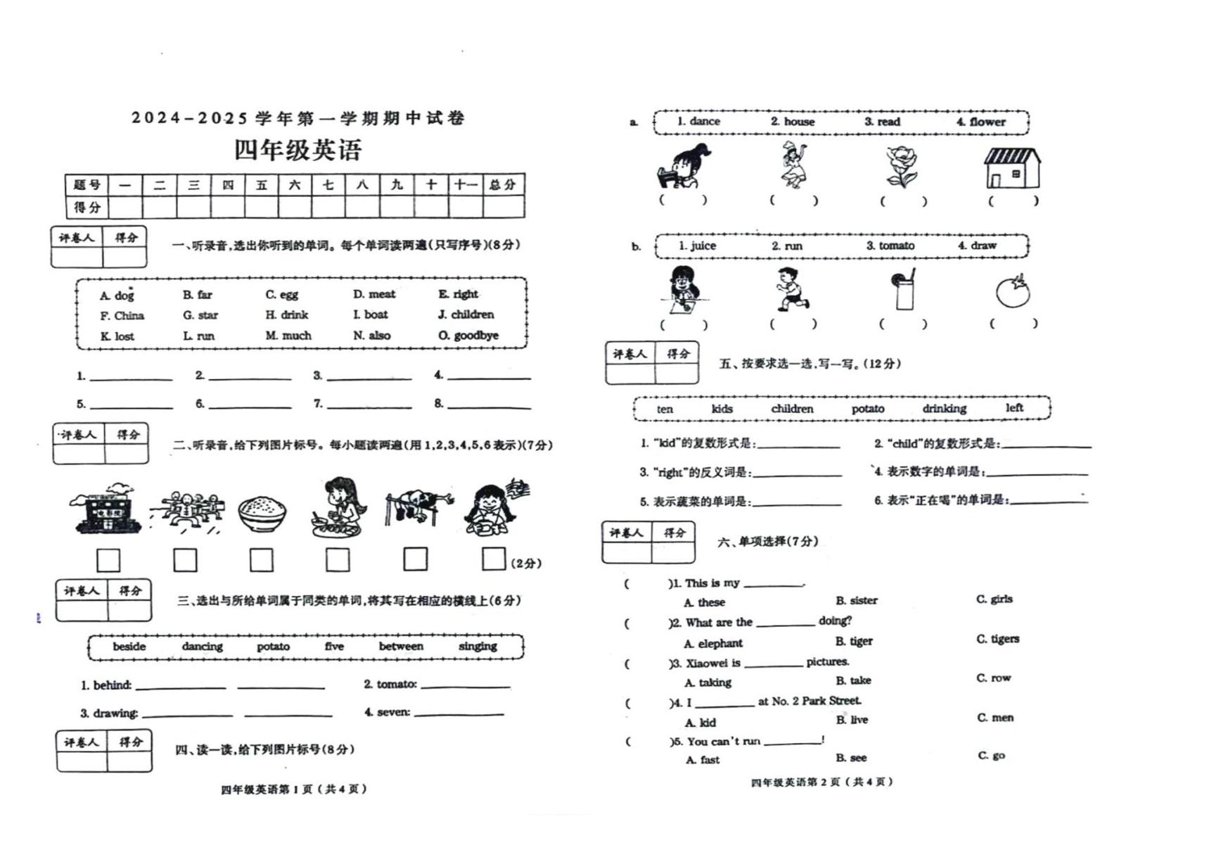 河南省周口市沈丘县2024-2025学年四年级上学期期中英语试题