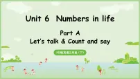 人教版PEP(2024)三年级下册(2024)Unit 6 Numbers in life教课内容课件ppt