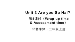 小学英语新译林版三年级上册Unit 3 第4课时（Wrap-up time & Assessment time）教学课件2024秋