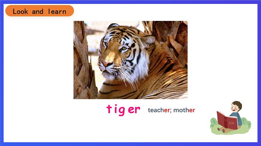 滬教牛津版（五四制）英語(yǔ)三下module 2 unit 1《animals period 1 animals in the zoo》課件第6頁(yè)