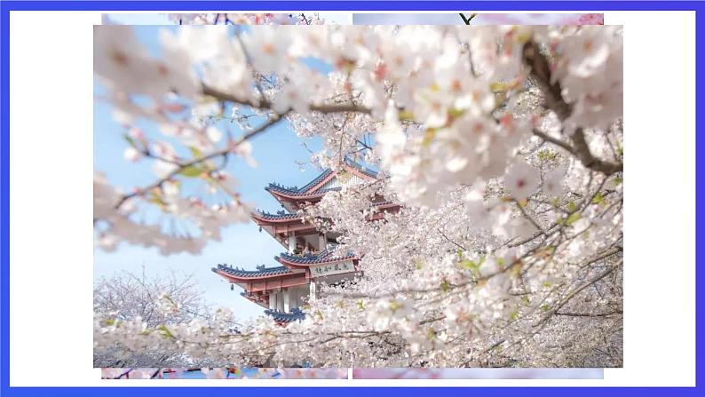 沪教牛津版(五四制)英语三下module 2 unit 3《clothes period 1》课件第3页