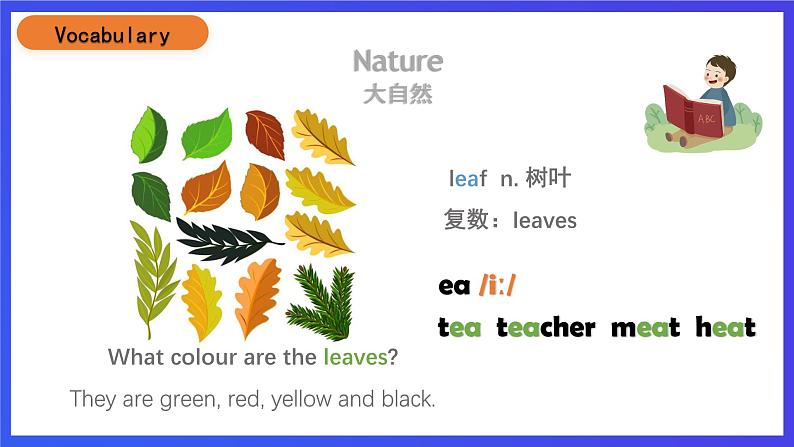 沪教牛津版(五四制)英语三下Module 3 Unit 2《Colours》英语复习课件第7页