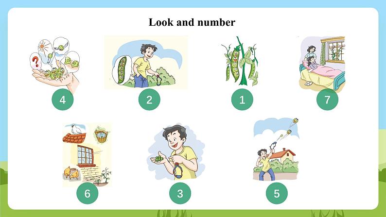 沪教牛津版(六三制一起)英语六下 Unit 12《The five peas》Let's learn more 课件第6页