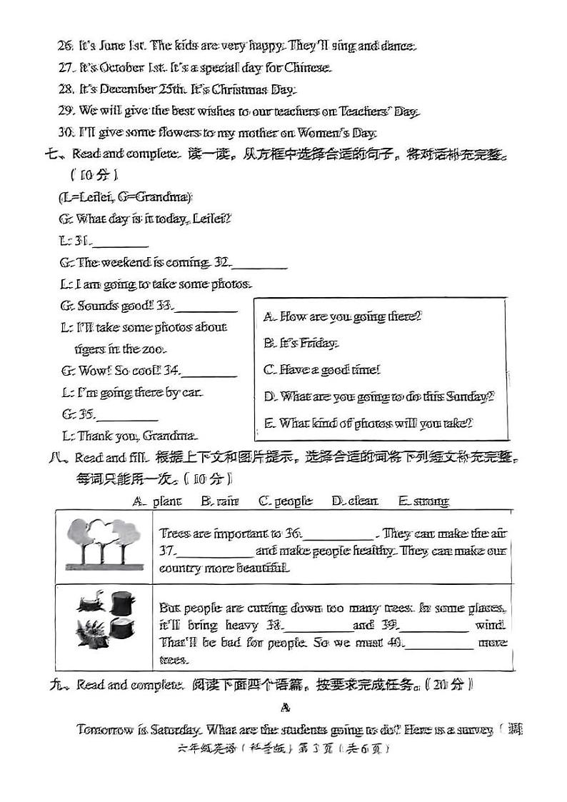 河南省洛阳市2024-2025学年六年级上学期期末英语试卷第3页