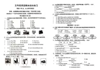 广东省茂名市2024-2025学年五年级上学期期末英语试题