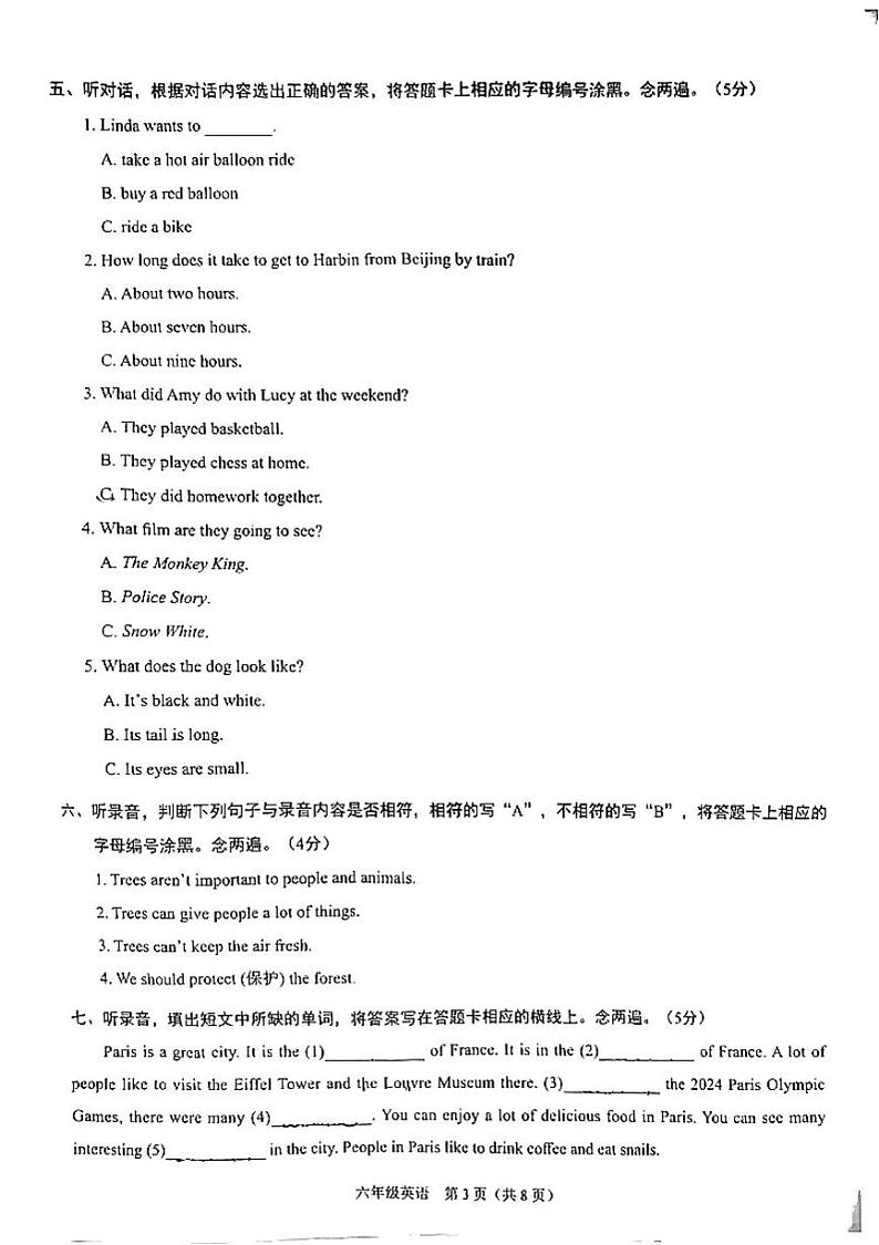 广东省深圳市龙岗区平安里学校2024-2025学年六年级上学期期末英语试题第3页