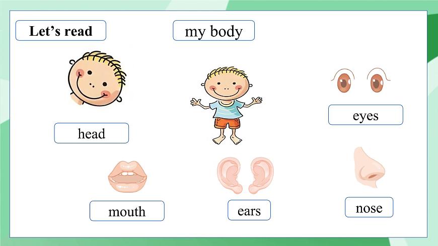 外研版（三起）（2024）英語三年級下冊 Unit 2  Know your body 第5課時   Wrap up（課件）第4頁