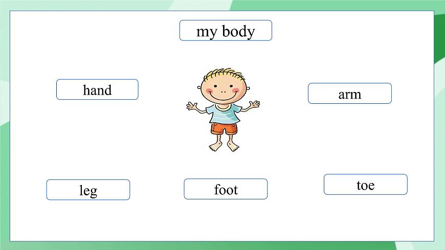 外研版（三起）（2024）英語三年級下冊 Unit 2  Know your body 第5課時   Wrap up（課件）第5頁