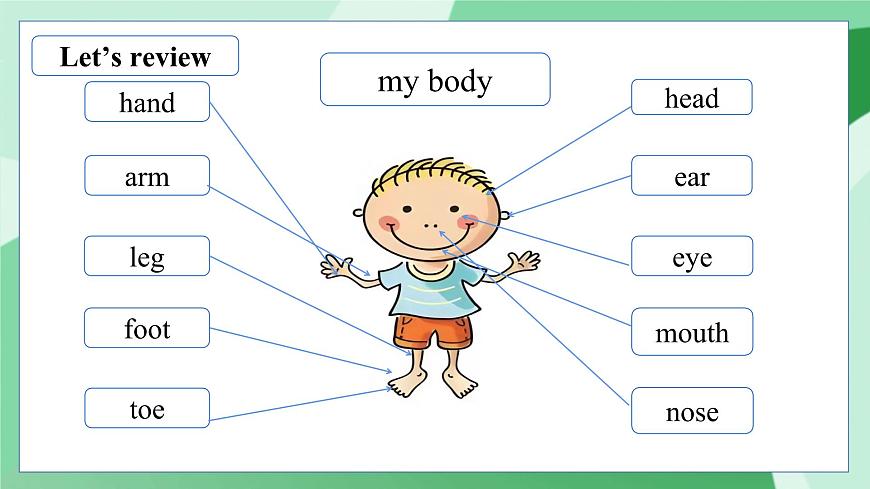 外研版（三起）（2024）英語三年級下冊 Unit 2  Know your body 第5課時   Wrap up（課件）第6頁
