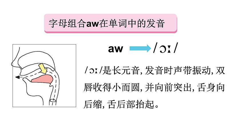 小升初专题复习 一般过去时&一般现在时对比(课件)人教PEP版英语六年级下册第8页