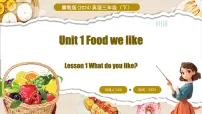 冀教版(三起)2024三年级下册(2024)Lesson1 What do you like?课前预习课件ppt