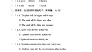 小学Unit 12 The five peas精品课后测评