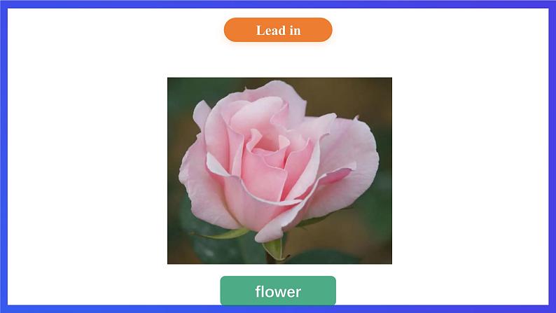 【核心素养】北京版英语五下 Unit 2《What do flowers do?》Lesson 5 课件第6页