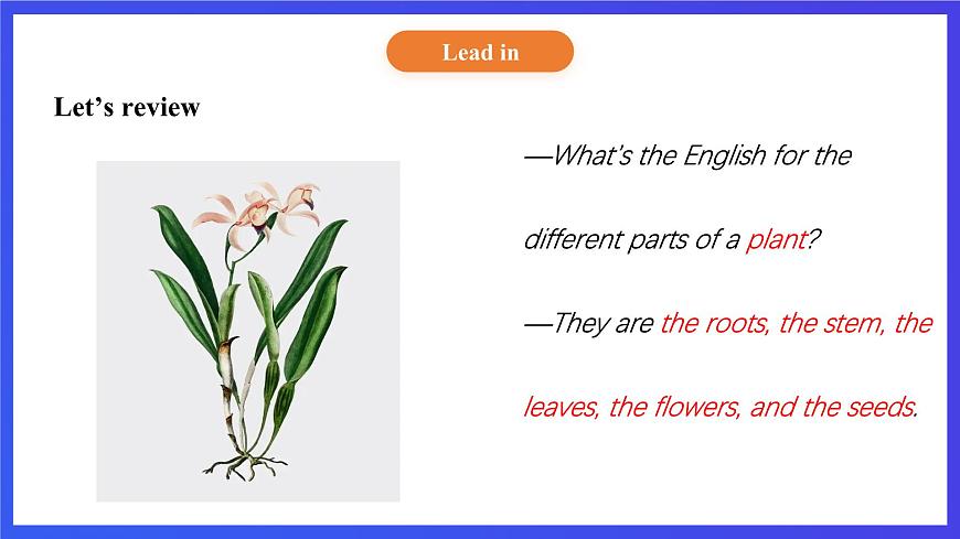 【核心素養(yǎng)】北京版英語(yǔ)五下 Unit 2《What do flowers do？》Lesson 6 課件第4頁(yè)