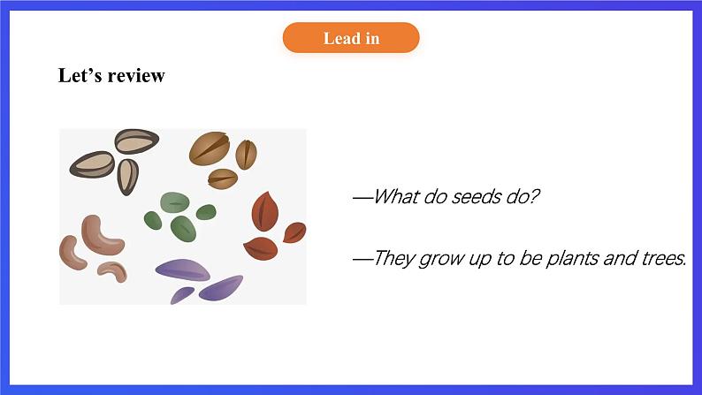 【核心素养】北京版英语五下 Unit 2《What do flowers do?》Lesson 7 课件第4页