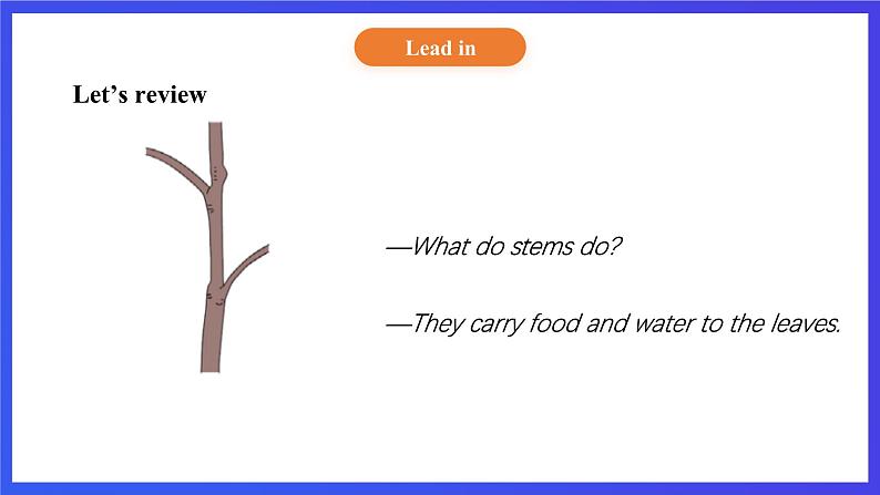 【核心素养】北京版英语五下 Unit 2《What do flowers do?》Lesson 7 课件第5页