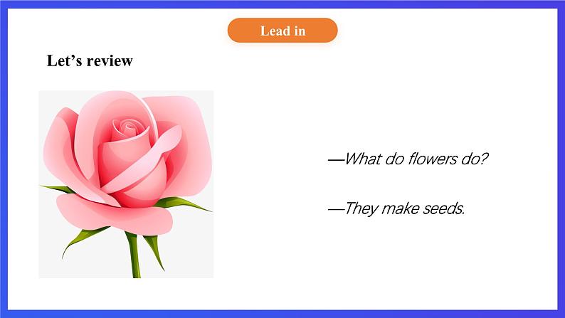 【核心素养】北京版英语五下 Unit 2《What do flowers do?》Lesson 7 课件第6页