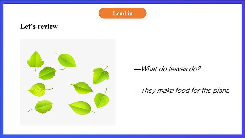 【核心素养】北京版英语五下 Unit 2《What do flowers do?》Lesson 7 课件第7页
