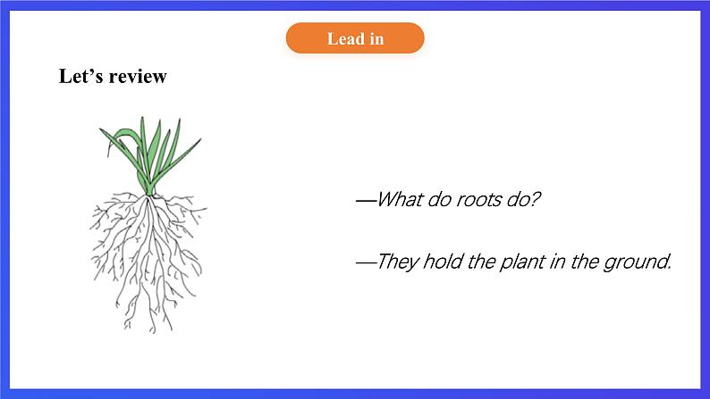 【核心素养】北京版英语五下 Unit 2《What do flowers do?》Lesson 7 课件第8页