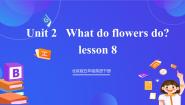 北京版（2024）五年级下册Unit 2 What do flowers do?Lesson 8精品ppt课件