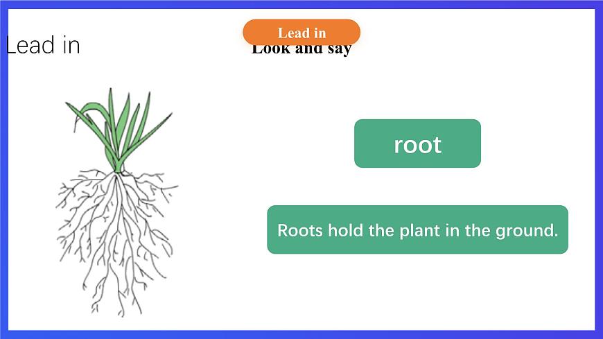 【核心素養(yǎng)】北京版英語五下 Unit 2《What do flowers do？》Lesson 8 課件第5頁