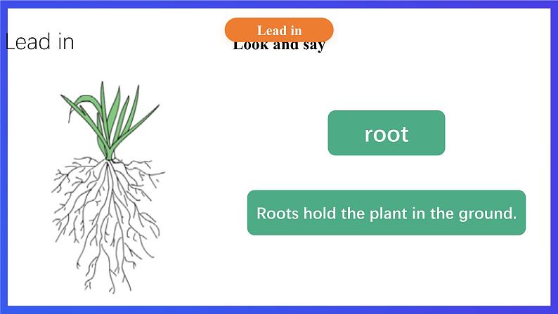 【核心素养】北京版英语五下 Unit 2《What do flowers do?》Lesson 8 课件第5页