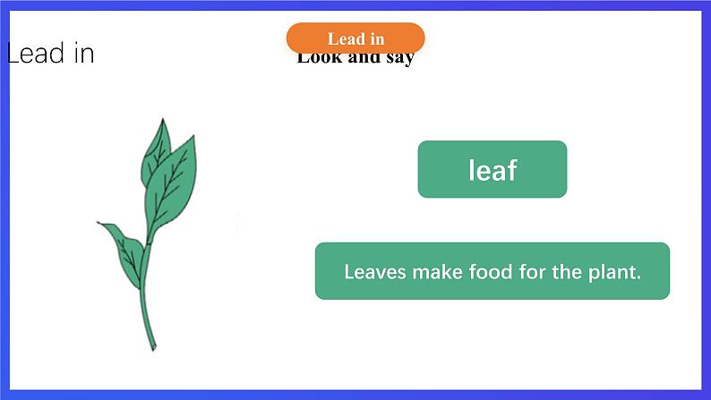 【核心素养】北京版英语五下 Unit 2《What do flowers do?》Lesson 8 课件第7页