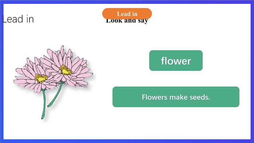 【核心素養(yǎng)】北京版英語五下 Unit 2《What do flowers do？》Lesson 8 課件第8頁