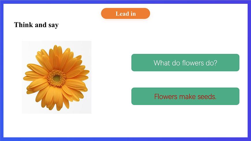 【核心素養(yǎng)】北京版英語五下 Unit 3《How do seeds travel？》Lesson 9 課件第4頁