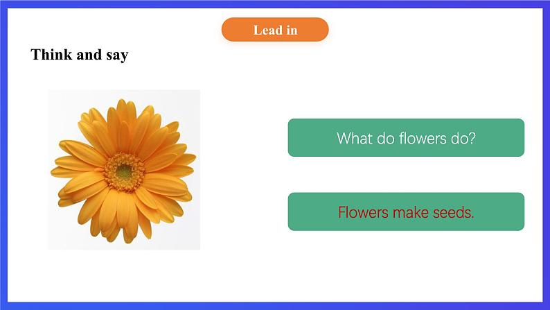 【核心素养】北京版英语五下 Unit 3《How do seeds travel?》Lesson 9 课件第4页