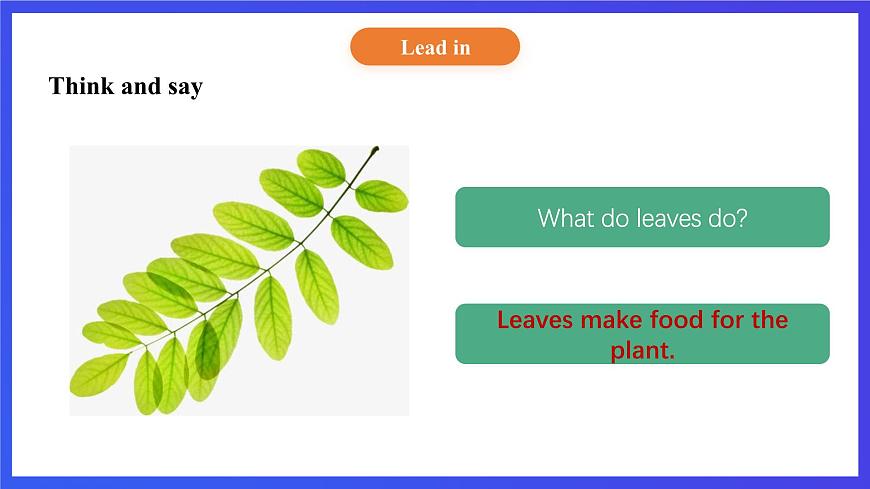 【核心素養(yǎng)】北京版英語五下 Unit 3《How do seeds travel？》Lesson 9 課件第6頁