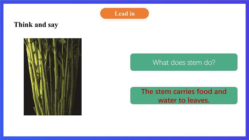 【核心素養(yǎng)】北京版英語五下 Unit 3《How do seeds travel？》Lesson 9 課件第7頁