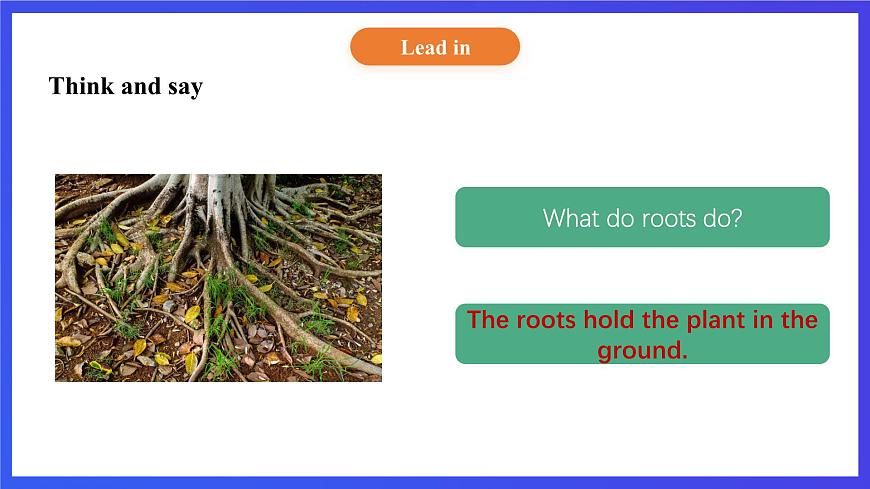 【核心素養(yǎng)】北京版英語五下 Unit 3《How do seeds travel？》Lesson 9 課件第8頁