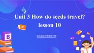 小学英语北京版（2024）五年级下册Lesson 10优秀课件ppt