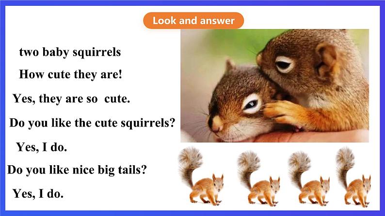 川教版(三起点)英语五下 Unit 1 Lesson 2《Talking about squirrels Let’s talk》课件第5页