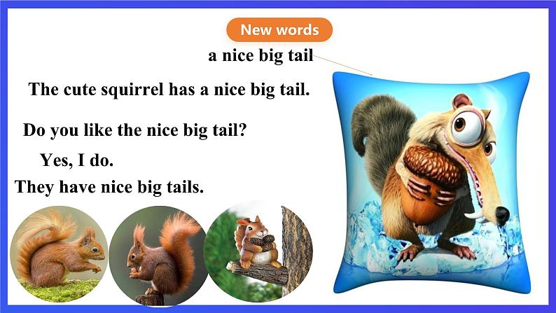 川教版(三起点)英语五下 Unit 1 Lesson 2《Talking about squirrels Let’s talk》课件第7页