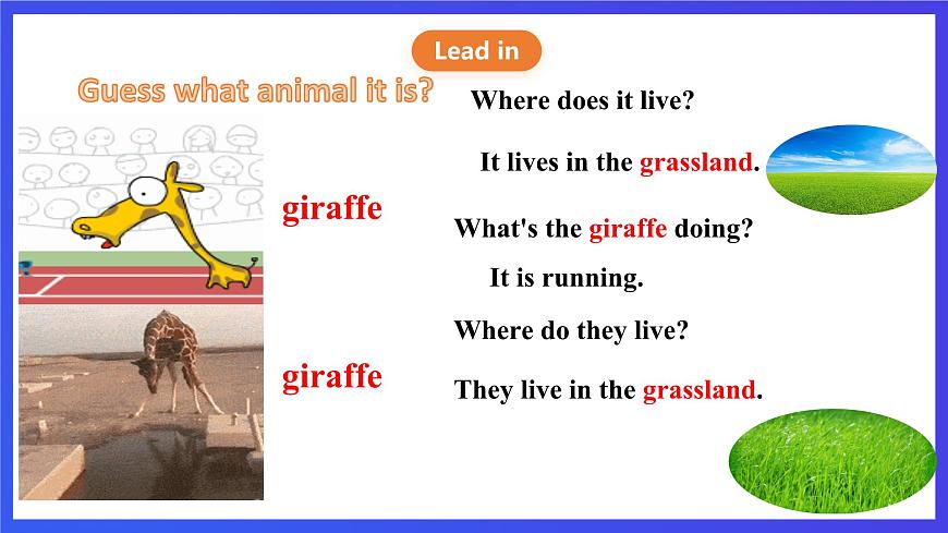 川教版（三起點）英語五下 Unit 1 Lesson 3《A book about animals let's talk》課件第5頁
