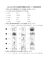 2022-2023学年山东省德州市德城区五年级（上）期末英语试卷