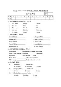 河南省周口市沈丘县2024-2025学年五年级上学期期末质量监测英语试卷