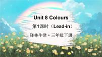 小学英语Unit 8 We're twins!图文课件ppt