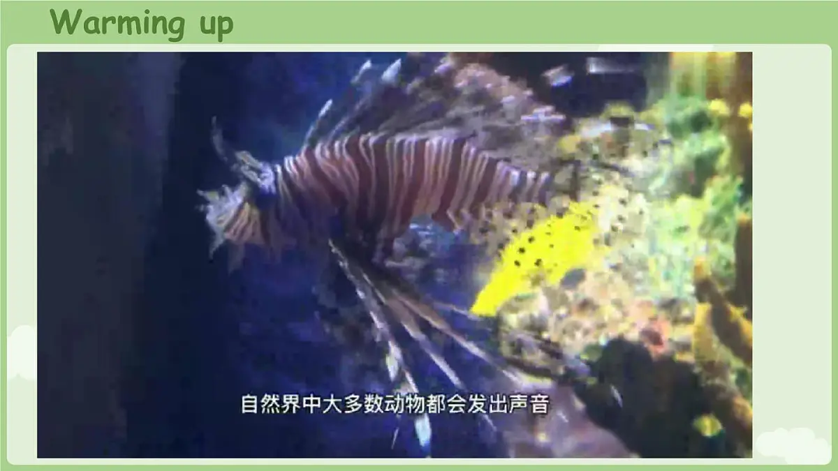 人教版(PEP2024)英语 三下Unit 3 C Reading time第8课时 课件第2页