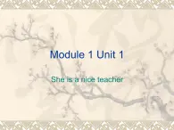 外研版英語三年級起點四年級下冊Module1 Unit1 She is a nice teacher.PPT課件
