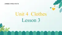 人教精通版（2024）三年级下册（2024）Unit 4 Clothes Lesson 3优秀ppt课件