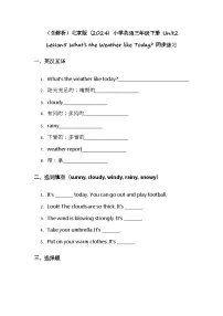 北京版(2024)三年级下册(2024)Lesson 5 What's the Weather like Today?课后测评