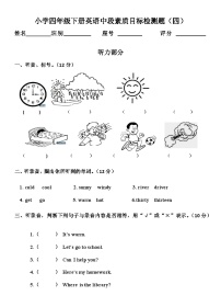 期中 （试题） -2024-2025学年人教PEP版英语四年级下册