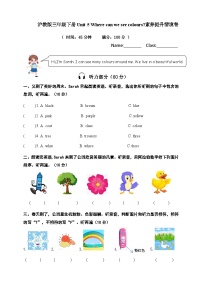 英语三年级下册（2024）Unit 5 Where can we see colours?精品课时训练