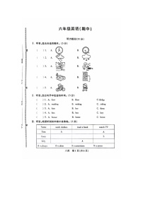河北省邯郸市丛台区2024-2025学年六年级上学期期中英语试题