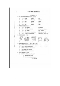 河北省邯郸市丛台区2024-2025学年六年级下学期期中英语试题