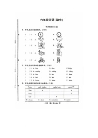 河北省邯郸市丛台区2024-2025学年六年级上学期期中英语试题